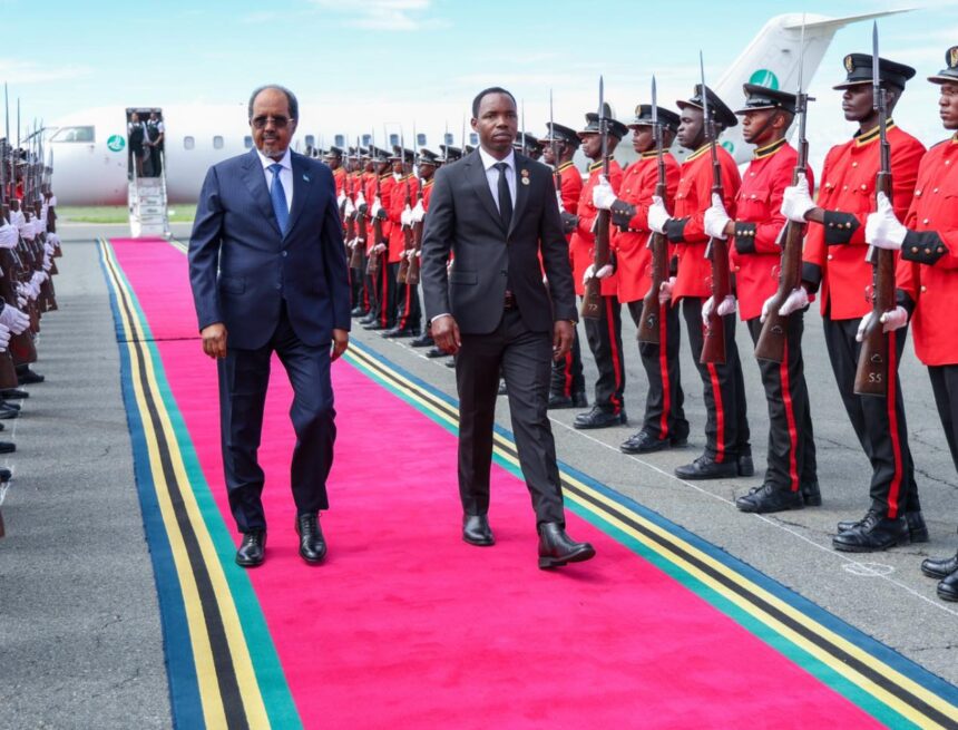 xasann Madaxweyne Xasan Sheekh oo si weyn loogu soo dhoweeyay magaalada Aruusha