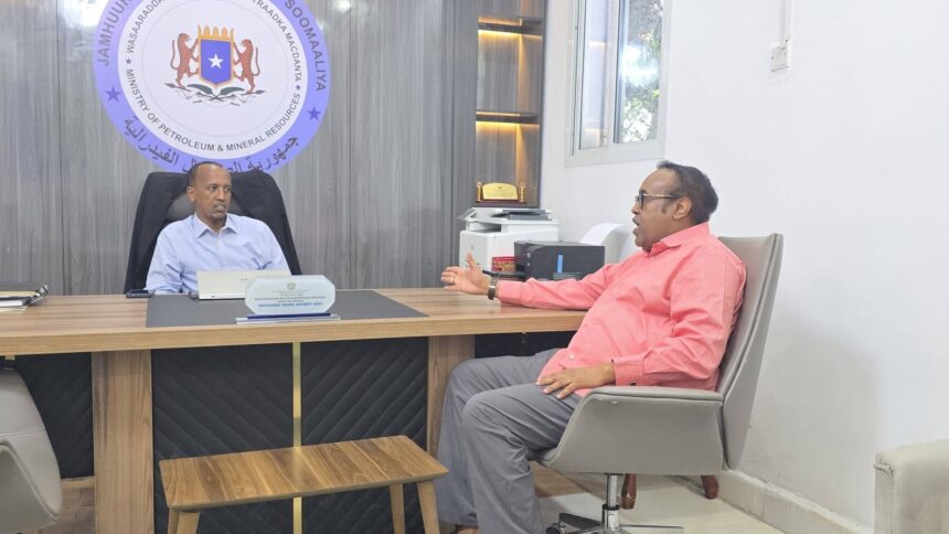 Somalia awards Holhol oil well drilling project to Gulfsom Energy