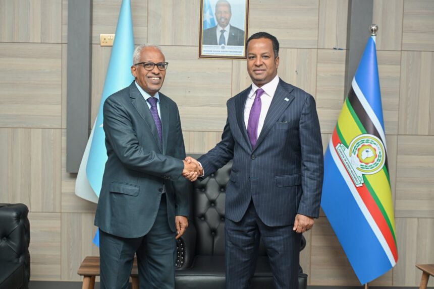Wasiirka arrimaha dibadda XFS oo kulan la qaatay safiirkii hore ee Jabuuti u fadhiyay Soomaaliya