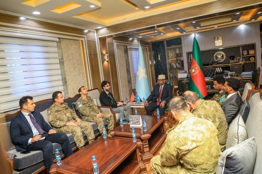 Somalia and Türkiye Discuss Security Cooperation and Airstrikes
