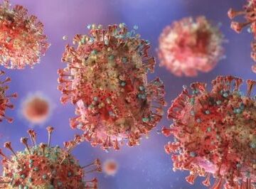 Congo: tirada dadka u dhintay cudurka Ebola oo korortay