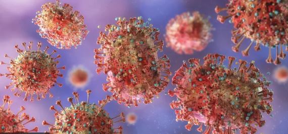 bbi Congo: tirada dadka u dhintay cudurka Ebola oo korortay