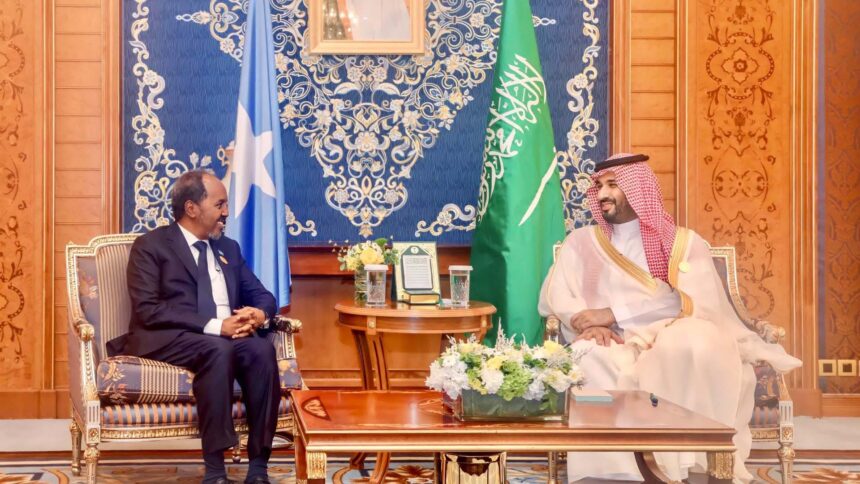 615413507_10238010547630080_981938753150693699_n Somalia Condemns Houthi Threats Against Saudi Arabia