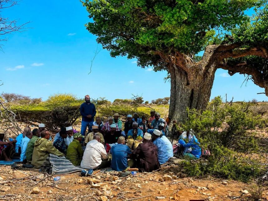 772685872_1725044612044298_2850373277994010902_n Heshiis Hordhac ah oo Laga Gaaray Ciidamada Puntland iyo DFS