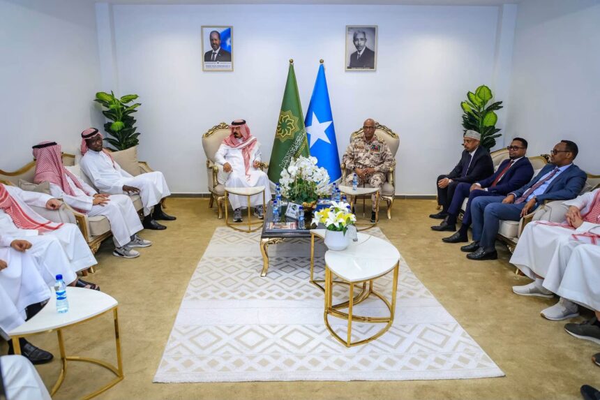 Kaaliyaha Taliyaha CXDS oo Muqdisho Ku Soo Dhaweeyay Xoghayaha Guud ee IMCTC