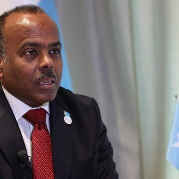 Somalia Calls on Arab States to Block Further Recognition of Somaliland