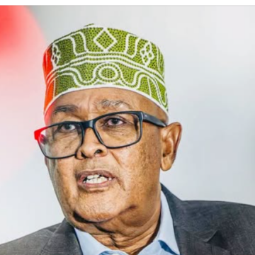 cirro Cirro: Somaliland Waxay Doonaysaa Door Istiraatiiji ah oo La Mid ah Jabuuti