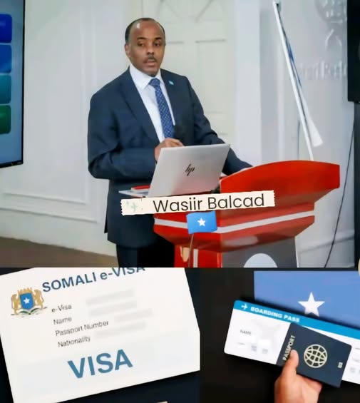 wasiir balcad DFS oo Somaliland Kala Hadashay E-Visa-da