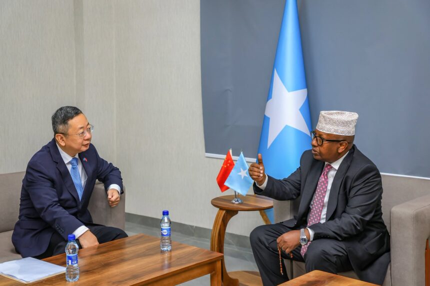 Somalia and China Discuss Joint Efforts to Combat Al-Shabaab