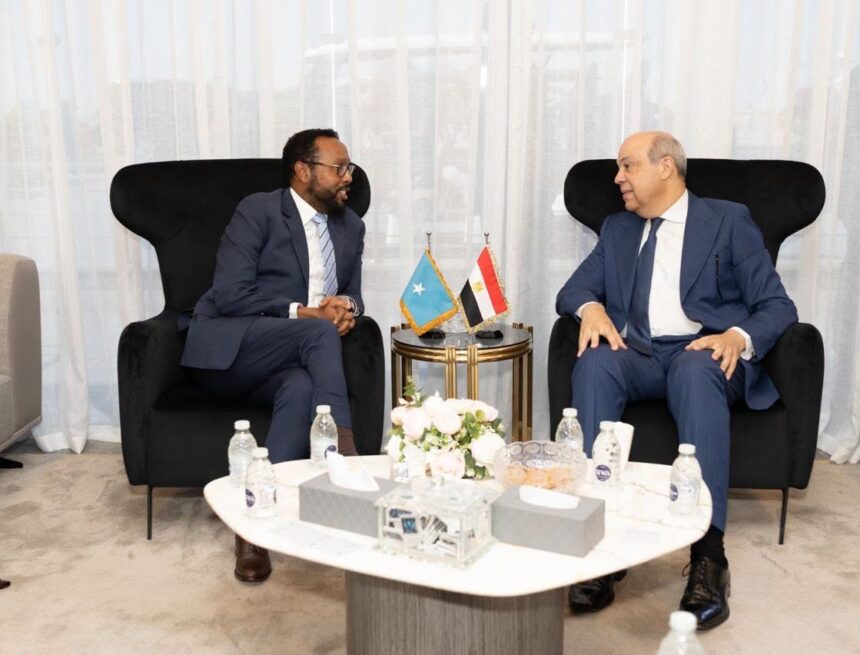 Mas’uuliyiin katirsan dowladda oo ka qeyb galay shir muhiim ah oo ka dhacay dalka Masar