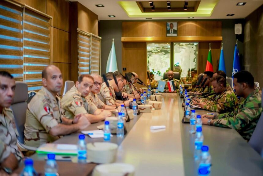 Egypt Moves to Strengthen Somalia’s Military Capabilities