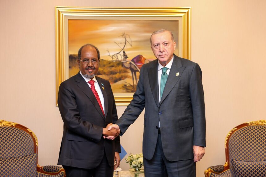Türkiye Denies New Visa Restrictions on Somali Travel
