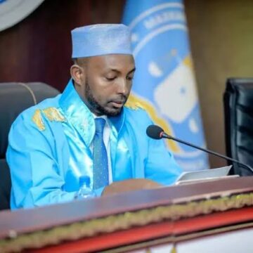 Somalia Government Seeks 15-Day Extension in Constitutional Lawsuit